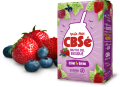 frutosdelbosque-con-ornamento.png