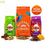 Zestaw Yerba Mate CBSé - Mango Picante 250g + Dubai Chocolate 250g + Mateando 500g