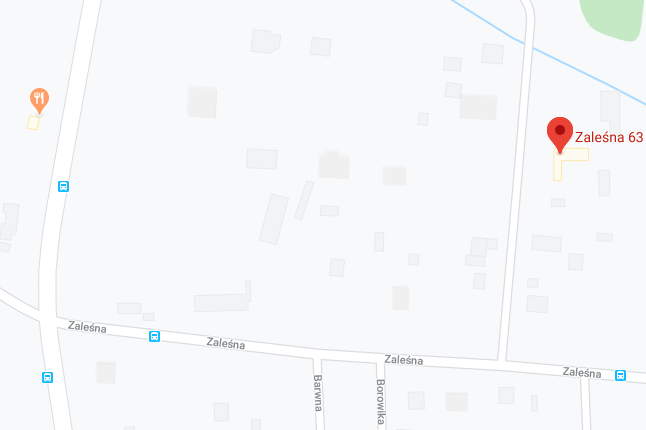 borowina mapa