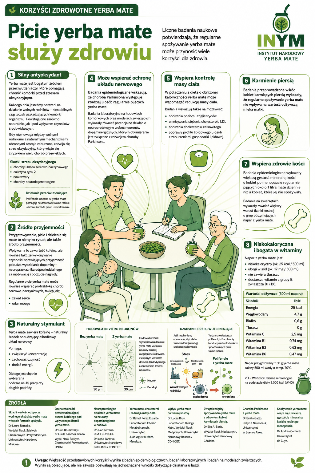 Korzyści zdrowotne wynikające z picia yerba mate – infografika